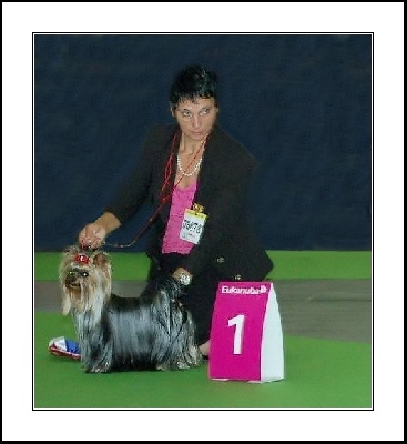 de L'Adoree Peneloppe - World Dog Show 2011 Paris