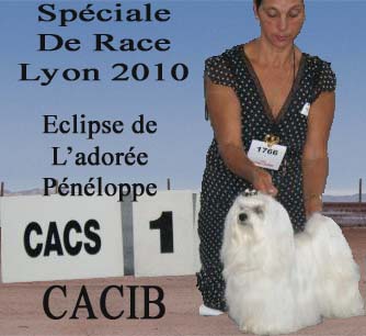 de L'Adoree Peneloppe - International de Lyon Spéciale de race le 6 Juin 2010