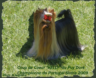 de L'Adoree Peneloppe - Monografica  des Terriers Sintra le 24-07-09 ( Portugal ) 