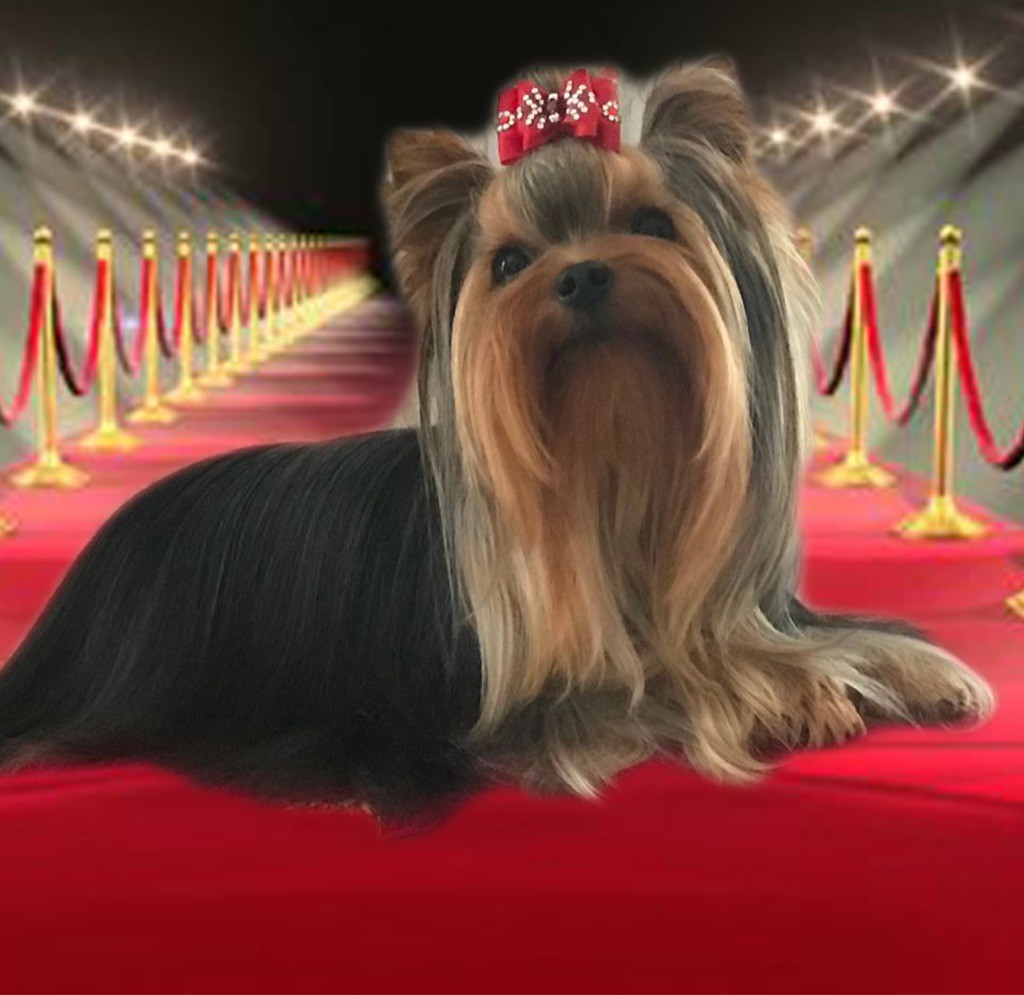 Ocarina de L'Adoree Peneloppe